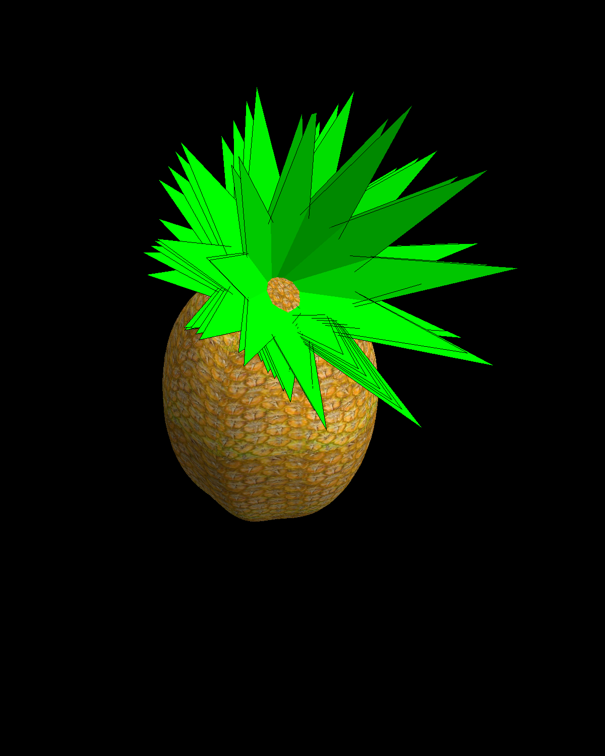 ari_brenner_pineapple.png