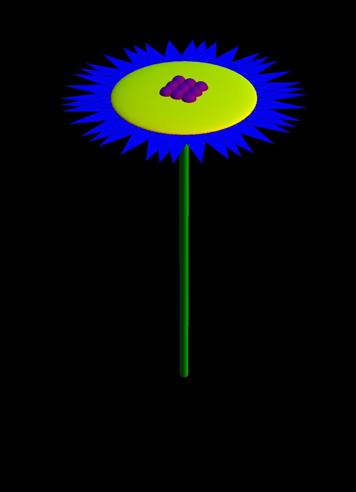 julia_cohn_flower.png