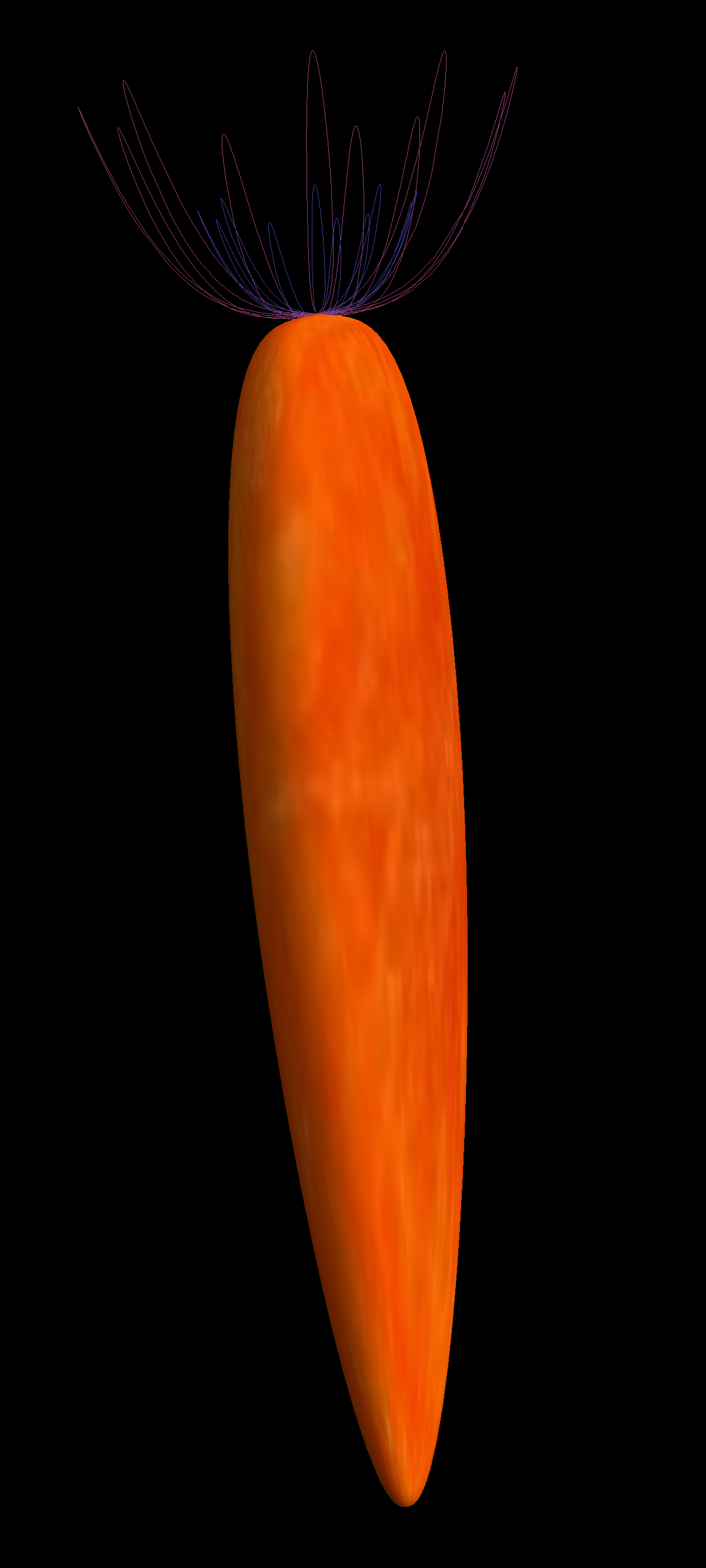 michelle_chang_carrot.png