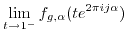 $\displaystyle \lim_{t \to 1^-} f_{g,\alpha}( t e^{2 \pi i j \alpha} )$