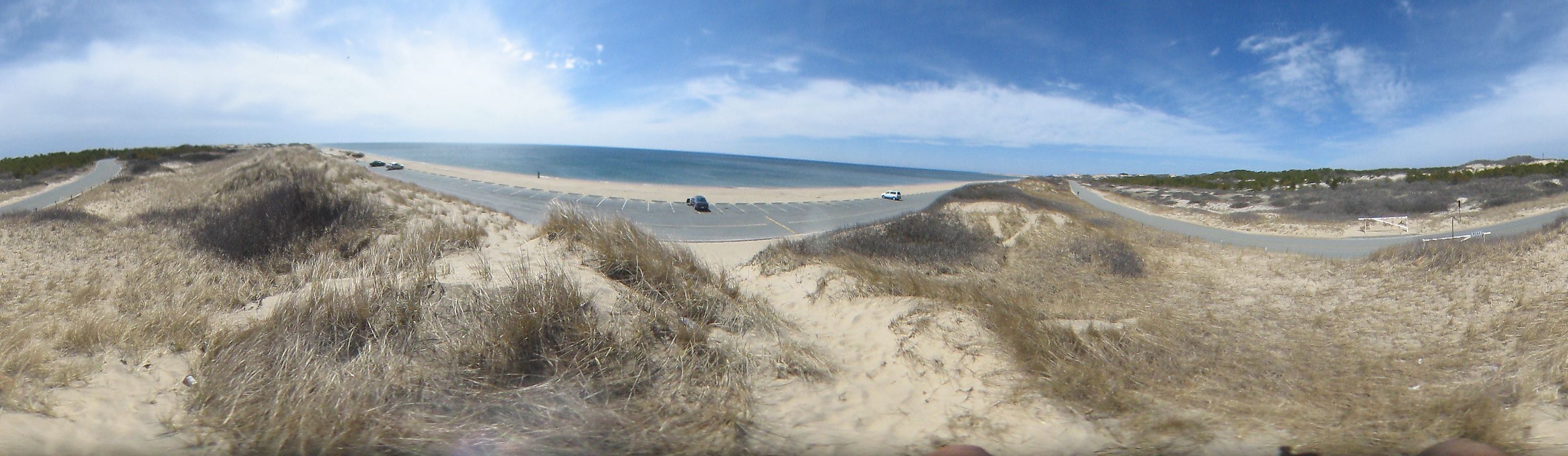Cape: Dunes near beach 