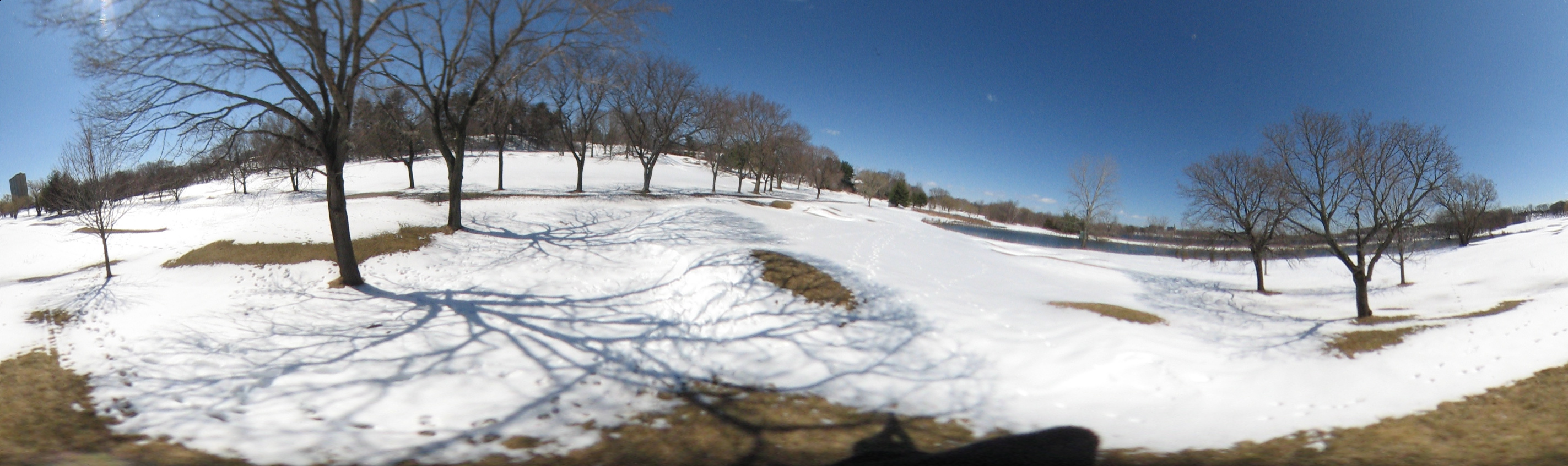 March 20, 2007, Harvard - Cambridge - Freshpond