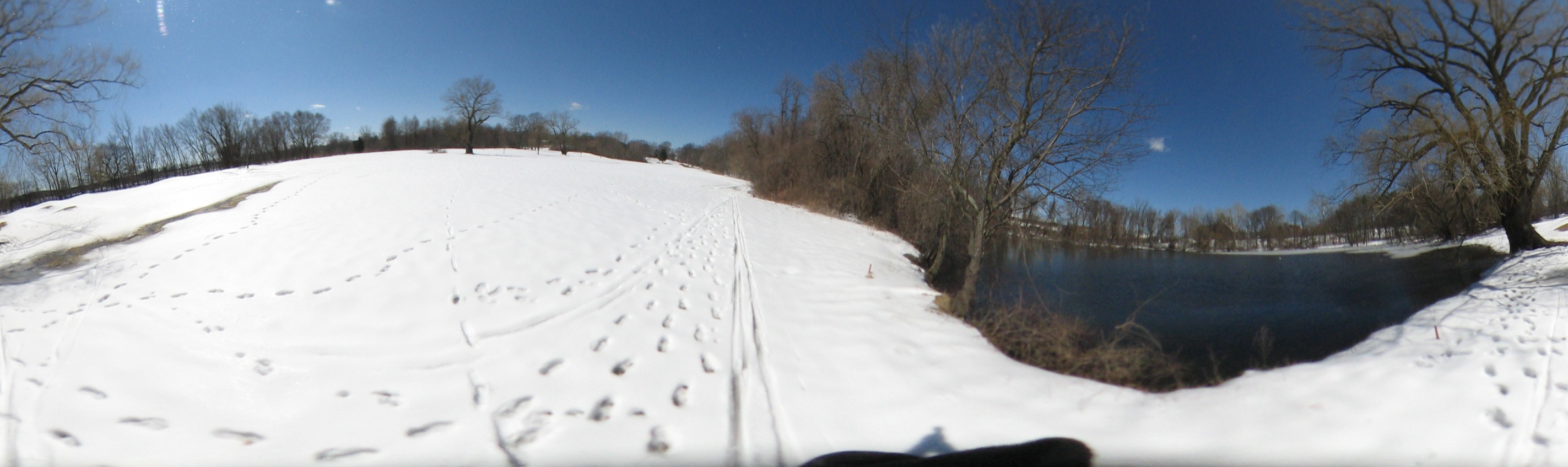 March 20, 2007, Harvard - Cambridge - Freshpond