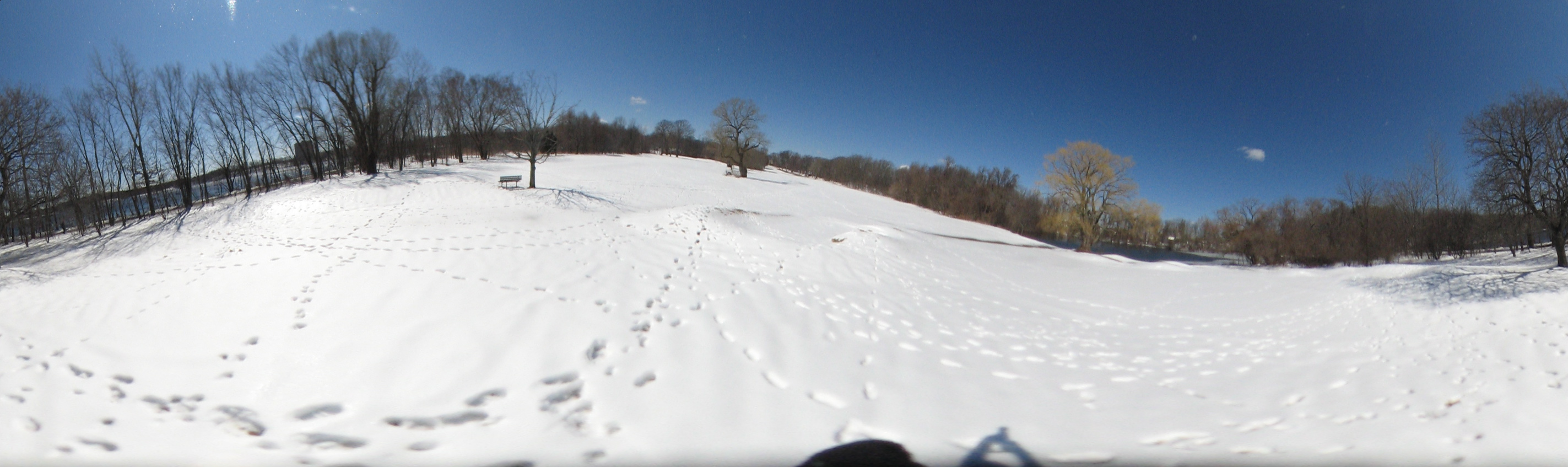 March 20, 2007, Harvard - Cambridge - Freshpond