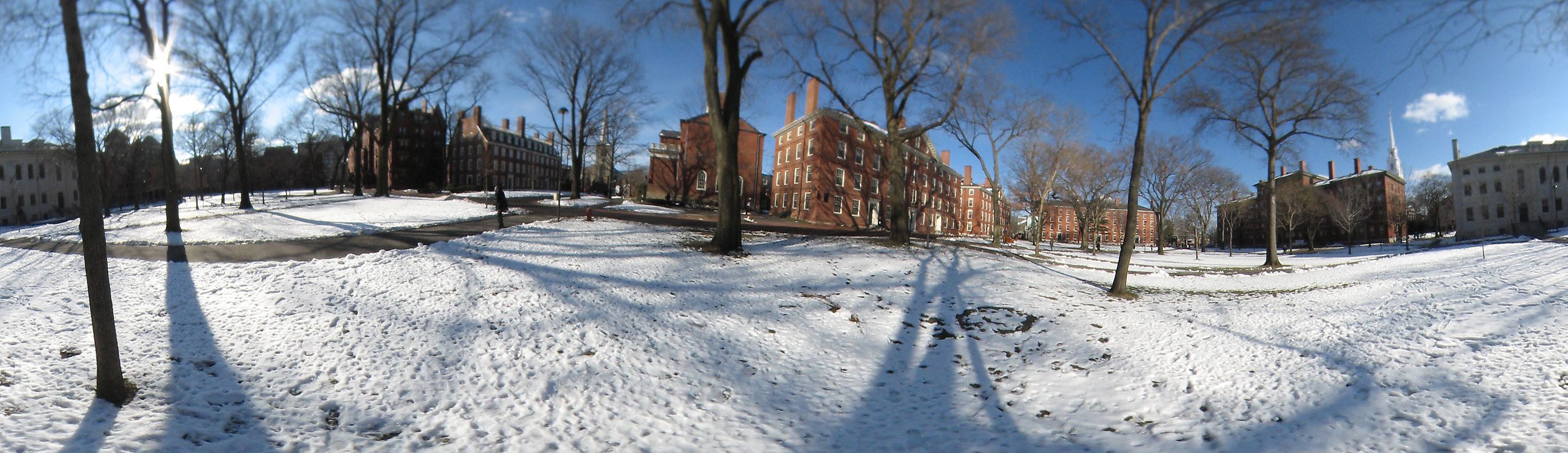 Harvard yard, Harvard University