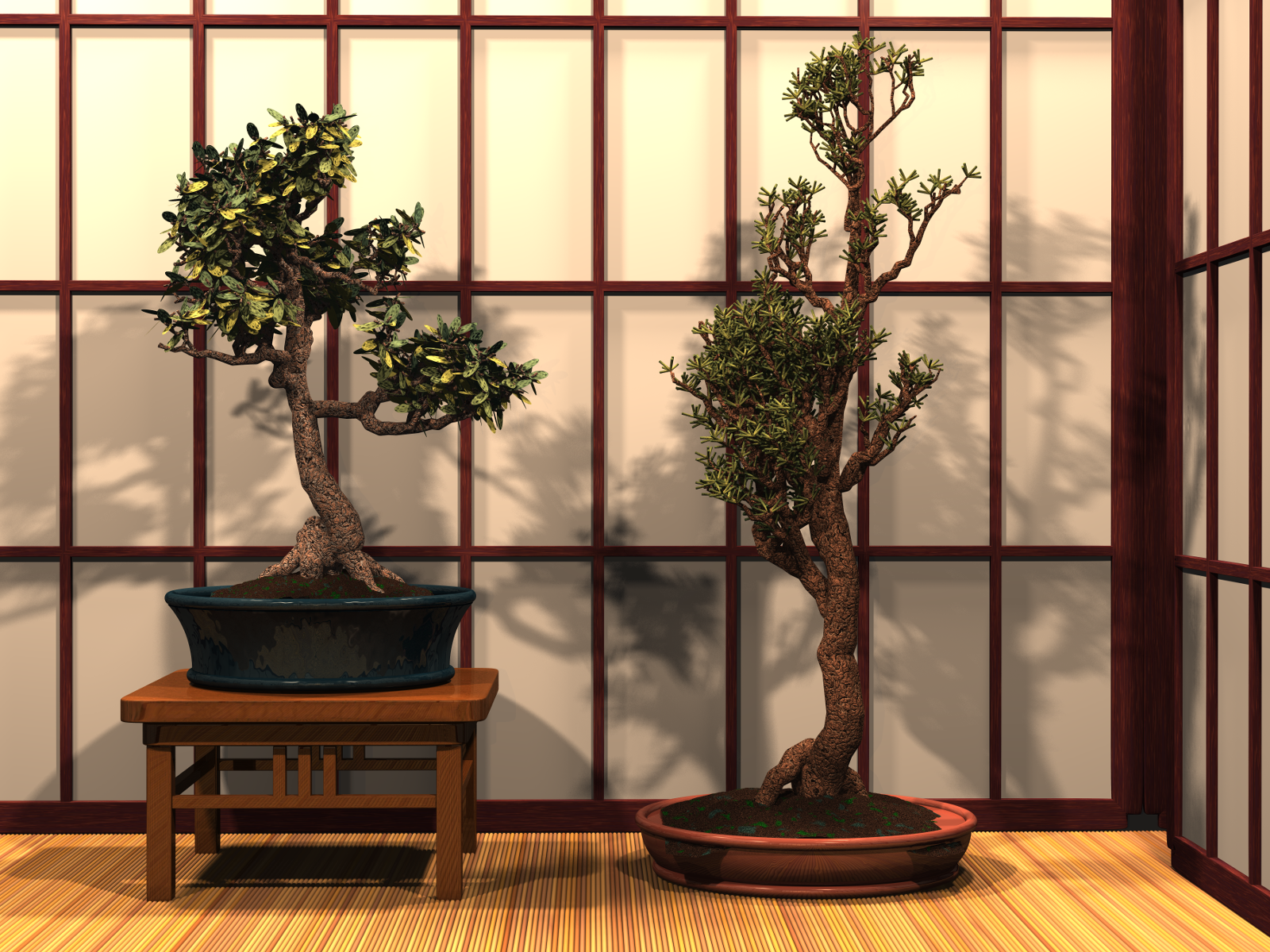 Bonsai