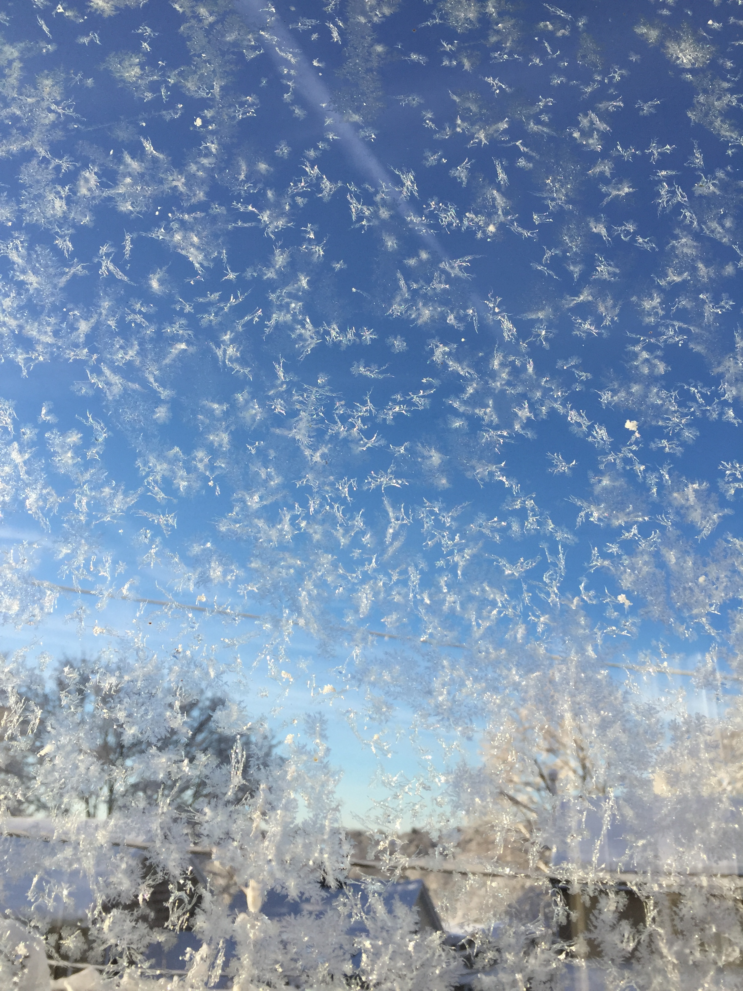 view through the window