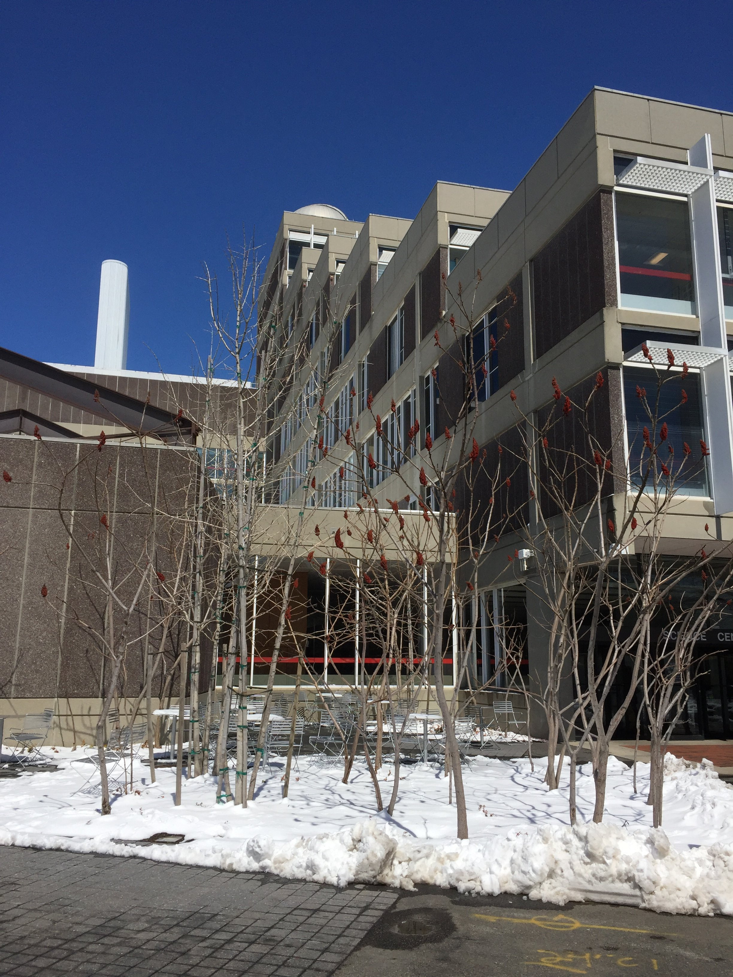 April 4 snow Science center